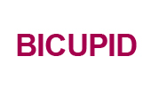 bicupid.com_size logo