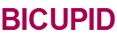 Bicupid Logo