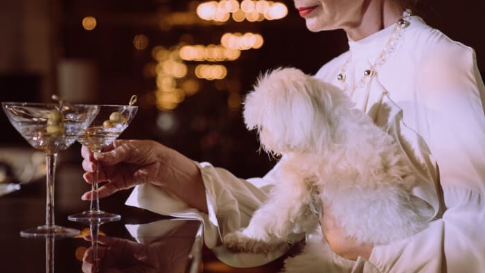 tich woman with a dog in bar